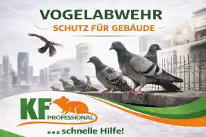 kammerjager_heilbronn_KF-Professional_Schädlingsbekämpfung_2.jpg