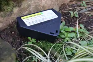 kammerjager_hirzenhain_insectacon_GmbH_6.jpg