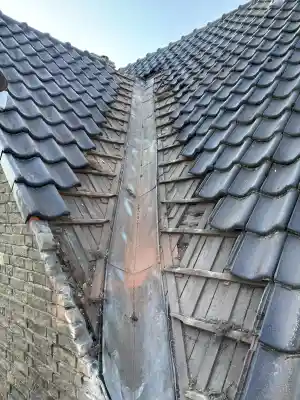 dakdekker_vlijmen_Dakconcurrent_Bouwmans_2.jpg