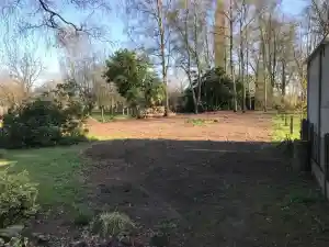 Vellen van bomen en struiken.jpg