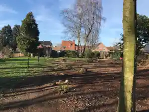 Vellen van bomen en struiken.jpg