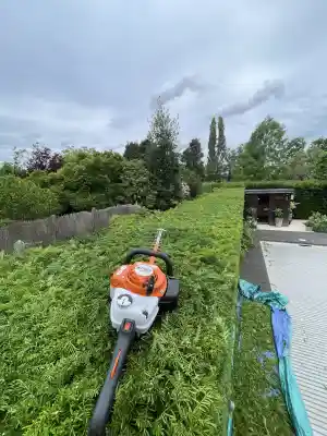 tuinaanleg-en-tuinonderhoud_tremelo_PROgardenX_6.jpg