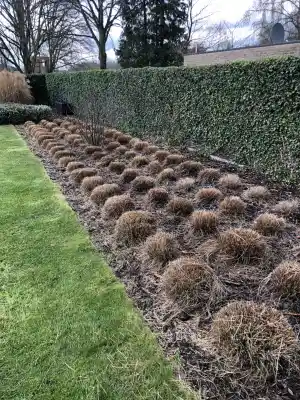 tuinaanleg-en-tuinonderhoud_tremelo_PROgardenX_4.jpg