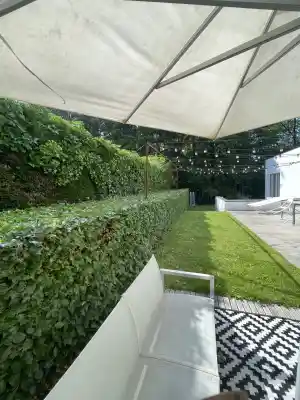 tuinaanleg-en-tuinonderhoud_tremelo_PROgardenX_5.jpg