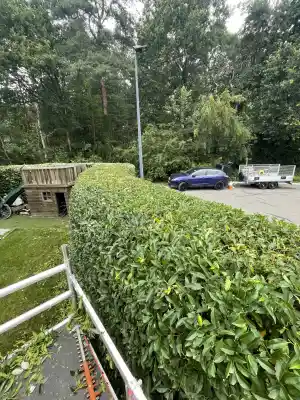 tuinaanleg-en-tuinonderhoud_tremelo_PROgardenX_6.jpg