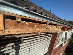 Boeiboord vervangen .jpg
