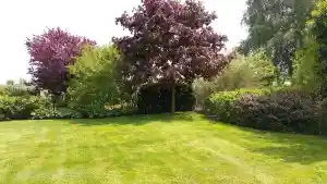 hovenier_nieuw-weerdinge_Hoveniers-_en_Bestratingsbedrijf_Otten_3.jpg