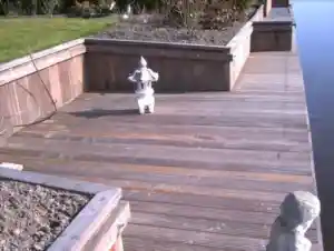 hovenier_nieuw-weerdinge_Hoveniers-_en_Bestratingsbedrijf_Otten_4.jpg