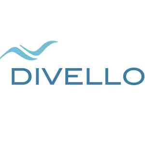 webdesign_frankfurt-am-main_Divello_GmbH_2.jpg