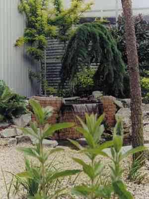 hovenier_zevenhuizen-zh_Hoveniersbedrijf_Odon_Hoogendoorn_3.jpg