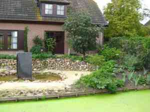 hovenier_zevenhuizen-zh_Hoveniersbedrijf_Odon_Hoogendoorn_4.jpg