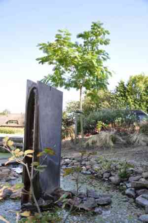 hovenier_zevenhuizen-zh_Hoveniersbedrijf_Odon_Hoogendoorn_5.jpg