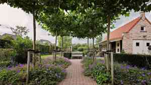 stratenmaker_dirksland_Herweijer_Tuintechniek_4.jpg