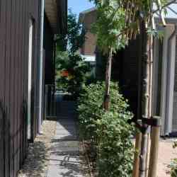 hovenier_montfoort_Hoveniersbedrijf_Jasper_de_Jong_B.V._2.jpg