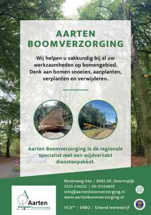 hovenier_doornspijk_Aarten_Boomverzorging_3.jpg