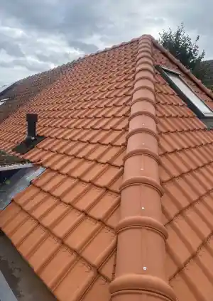 dakdekker_den-bosch_Van_Boxtel_Dakonderhoud_2.jpg