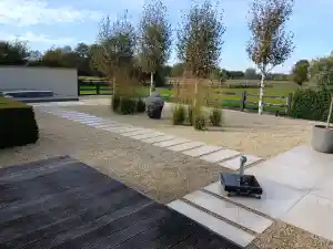 boomverzorging_beuningen_Zanderink_Beuningen_Hoveniersbedrijf_7.jpg