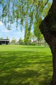 hovenier_kloetinge_Tuincentrum/Hoveniersbedrijf_Paardekooper_V.O.F._3.jpg