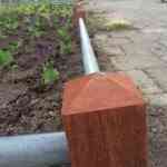 hovenier_veenendaal_Van_Ginkel_Interieurbeplanting_B.V._7.jpg