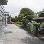 hovenier_veenendaal_Van_Ginkel_Interieurbeplanting_B.V._2.jpg