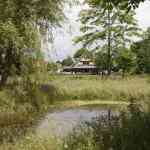 hovenier_veenendaal_Van_Ginkel_Interieurbeplanting_B.V._5.jpg