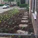 hovenier_veenendaal_Van_Ginkel_Interieurbeplanting_B.V._3.jpg