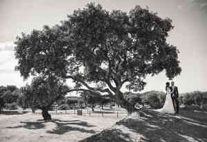 fotografo_bejar_Enrique_Micaelo_Fotografía_7.jpg