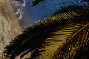 fotografo_cordoba_Fraco_Fotografía_4.jpg