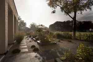hovenier_rotterdam_Vis_&_Haas_Tuinen_Zuid-Holland_2.jpg