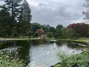 Tuin aanleggen roosendaal.jpg