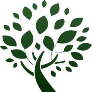 Gemmink Tuinen Hoveniersbedrijf.jpg