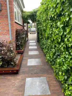 hovenier_zwijndrecht_Zoon_Hovenier_6.jpg