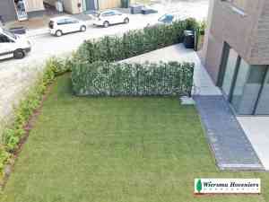hovenier_hurdegaryp_Wiersma_Hoveniers_2.jpg