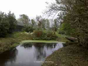 hovenier_hurdegaryp_Wiersma_Hoveniers_3.jpg
