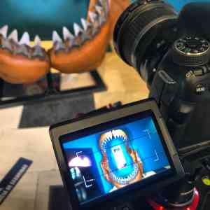 fotografo_elx-elche_Allard_Producciones_4.jpg