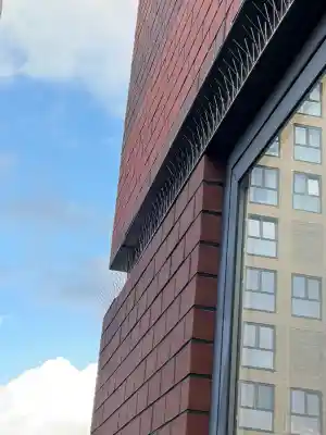 schoonmaakbedrijf_amsterdam_Bold_Cleaning_6.jpg