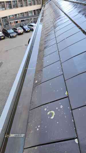 schoorsteenveger_almere_mees_aan_huis_5.jpg