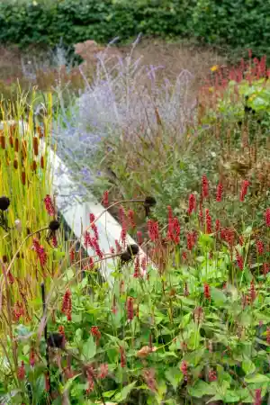 architect_zulte_Ine_Yvonne_Garden_Design_7.jpg
