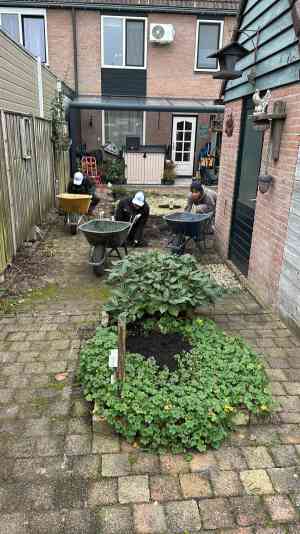 Complete tuin aanleg. .jpg