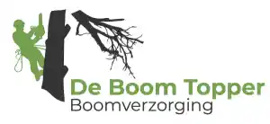 boomverzorging_de-goorn_De_Boom_Topper_2.jpg