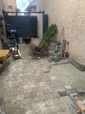 boomverzorging_rotterdam_Linofar_Hovenier_3.jpg