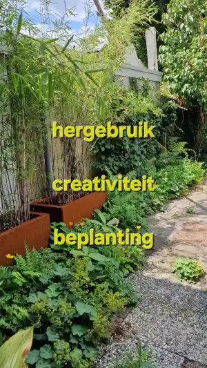 hovenier_amersfoort_Tuinpraktijk_De_Groene_Loods_3.jpg