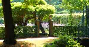 hovenier_utrecht_Elbertse_Groenservice_4.jpg