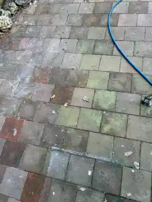 dakgoot_woudenberg_Gevelreiniging_Baum_en_Zoon_2.jpg