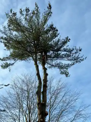 Boomvelling.jpg