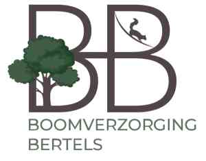 tuinaanleg-en-tuinonderhoud_geel_Boomverzorging_Bertels_2.jpg