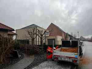 tuinaanleg-en-tuinonderhoud_geel_Boomverzorging_Bertels_3.jpg