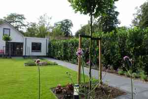 hovenier_doorn_Marco_Sinke_5.jpg
