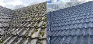 gevelrenovatie_haacht_DGC_Softwash_6.jpg