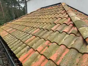 gevelrenovatie_haacht_DGC_Softwash_7.jpg